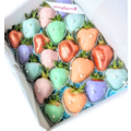 20pcs Pastel Rainbow x Bronze Chocolate Strawberries Gift Box (6 colors)